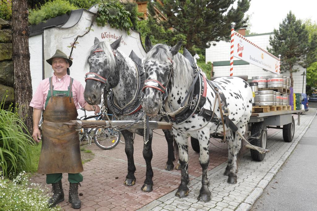 Hotel Gasthof Kamml Wals-Siezenheim Bagian luar foto